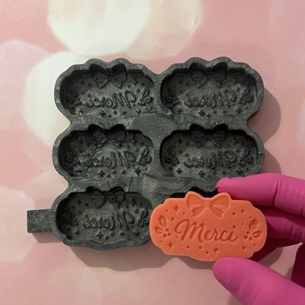 Moule 6 cavités merci